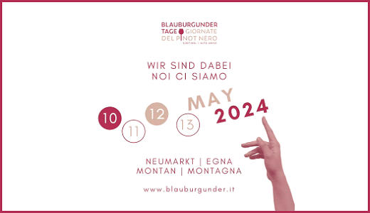 Giornate del Pinot Nero (Egna, BZ - 10-13 maggio 2024)