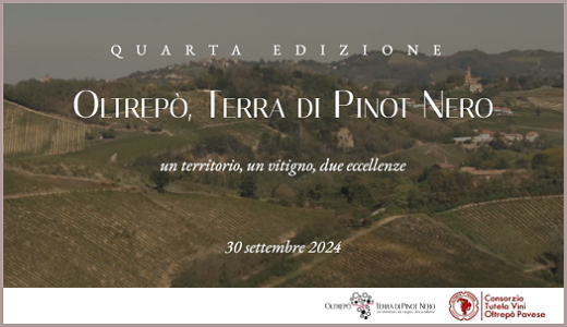 Oltrepò Pavese terra di Pinot Nero (Casteggio, PV - 30/09/2024)