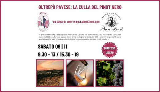 Oltrepò Pavese: la culla del pinot nero (Crema, CR - 09/11/2024)